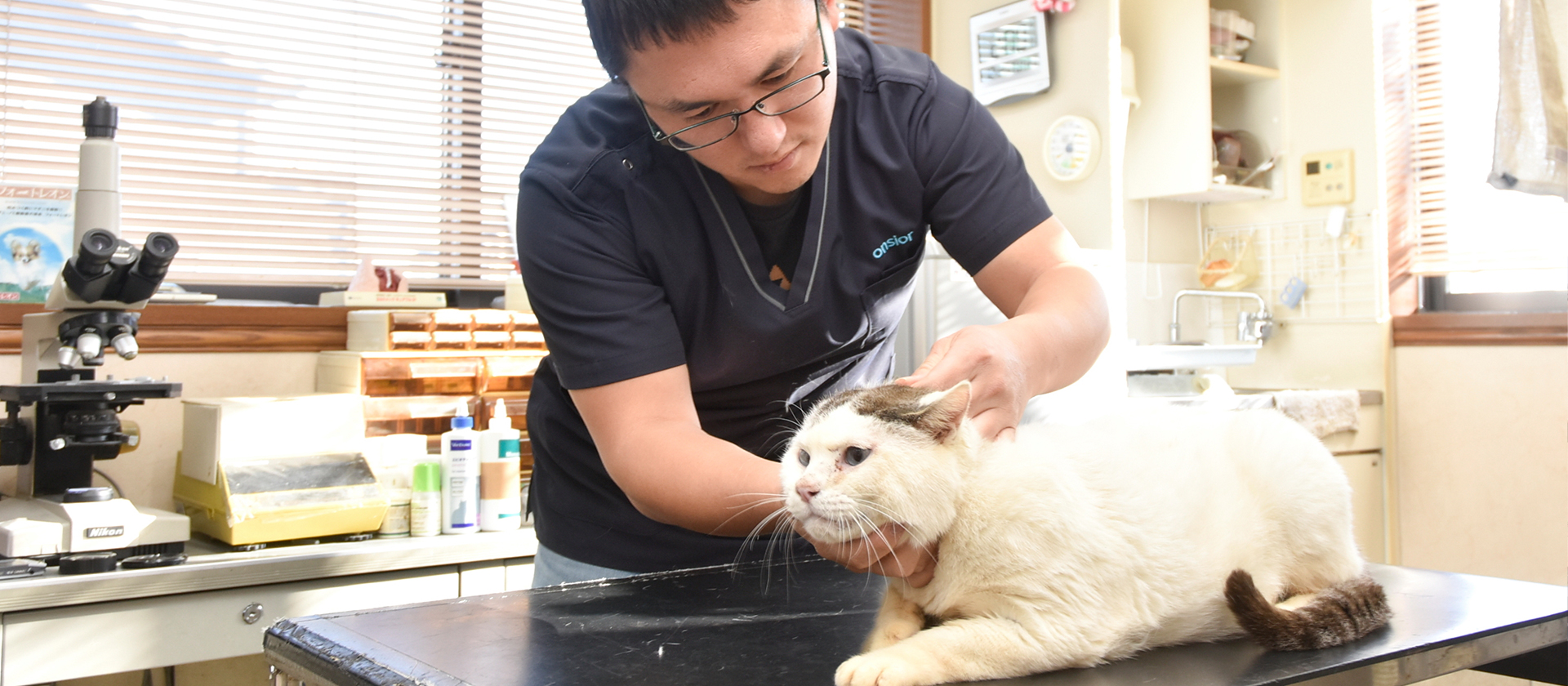 ふるた動物病院